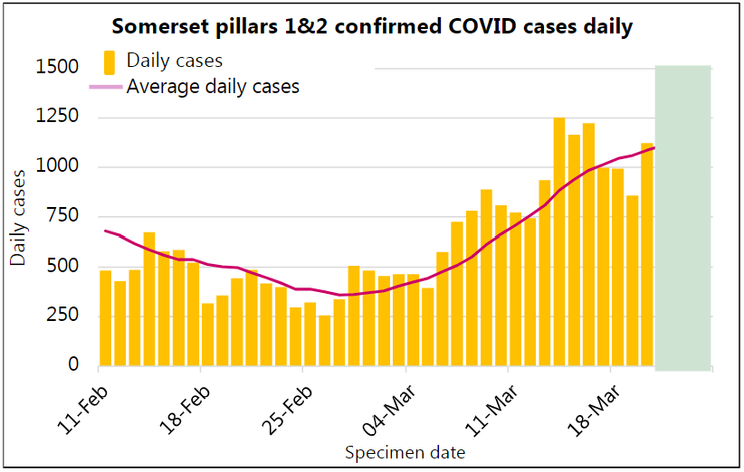 Graph showing daily Covid rates from period 11 Feb to 21 March